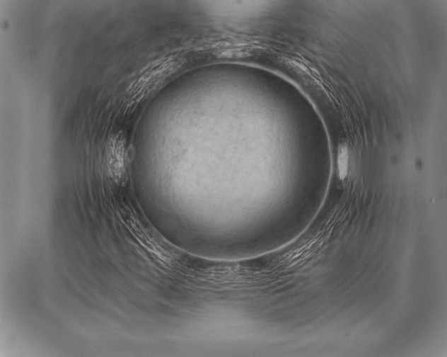 X0000087311444200704271350
