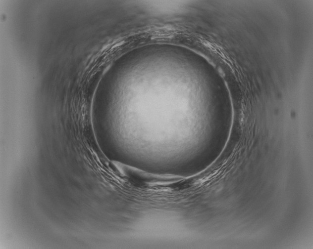 X0000087311445200704271350