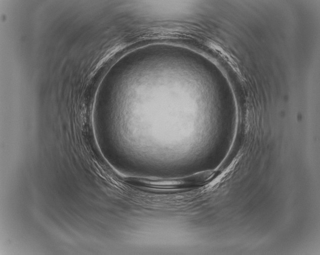 X0000087311449200704271350
