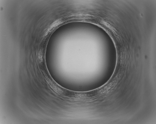 X0000087311451200704271350