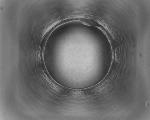 X0000087311452200704271350