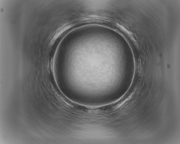 X0000087311453200704271350