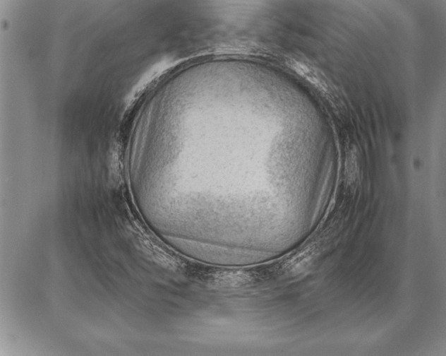 X0000087311454200704271350