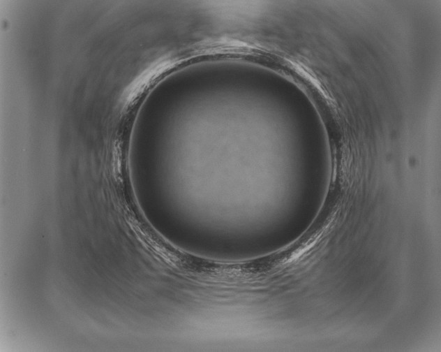X0000087311455200704271350
