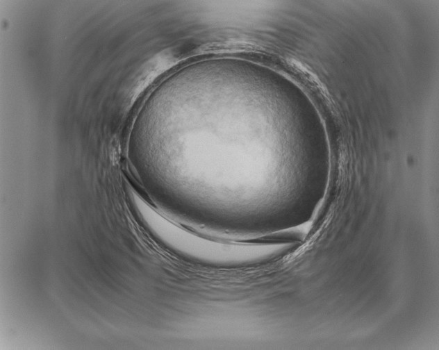 X0000087311457200704271350