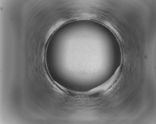 X0000087311477200704271350
