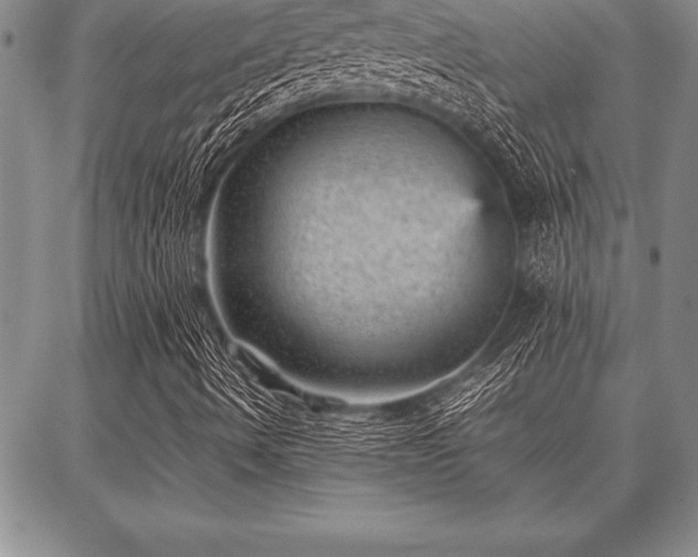 X0000087311490200704271349