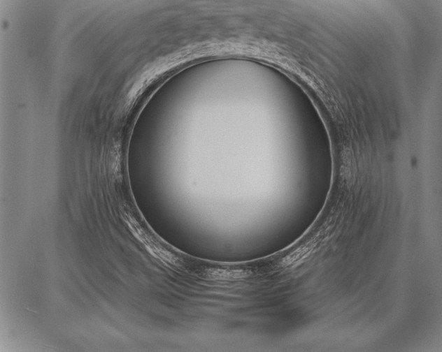 X0000087311499200704271349