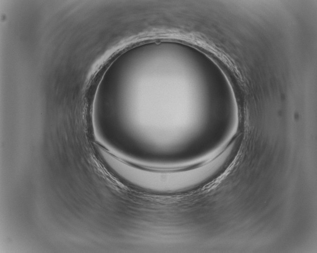 X0000087311502200704271349