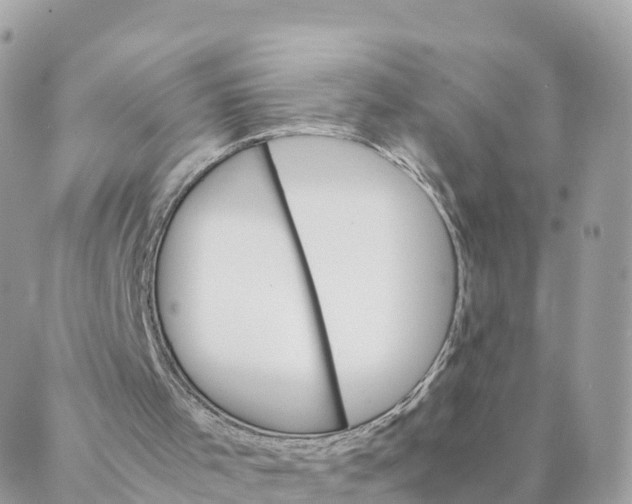 X0000087310001200705041701