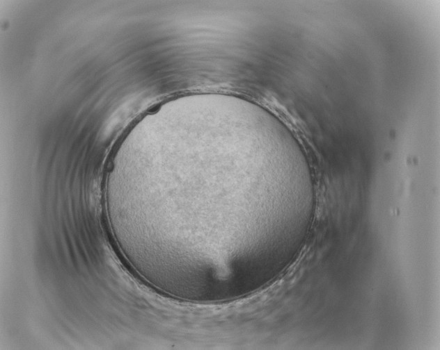 X0000087310002200705041701