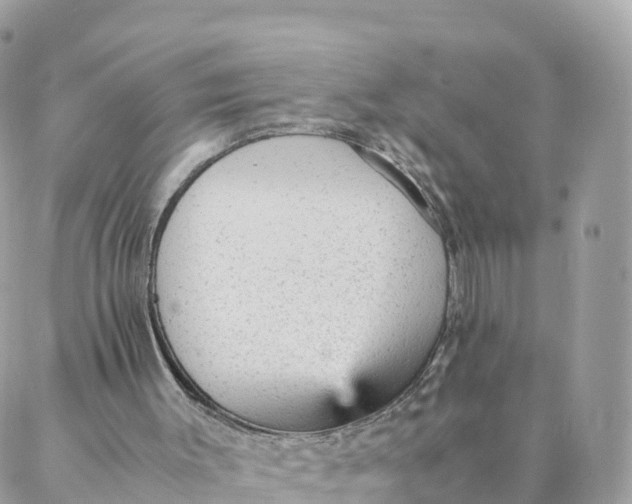 X0000087310003200705041701