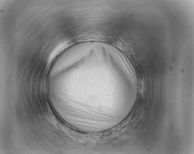 X0000087310004200705041701