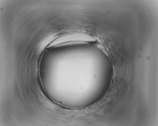 X0000087310005200705041701