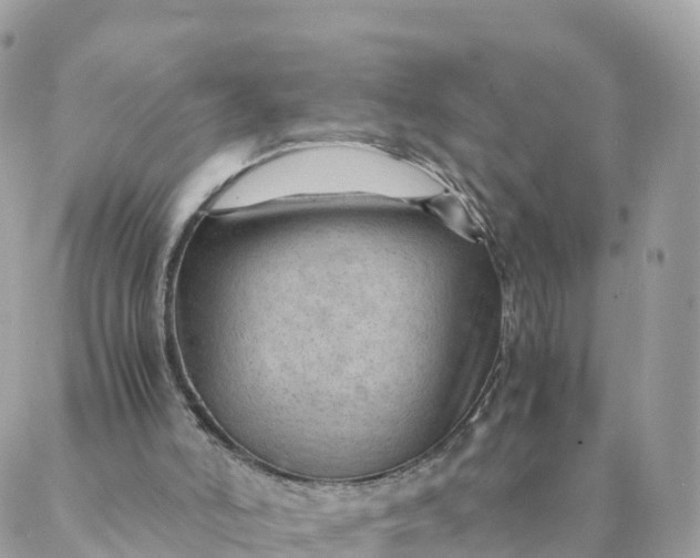 X0000087310006200705041701