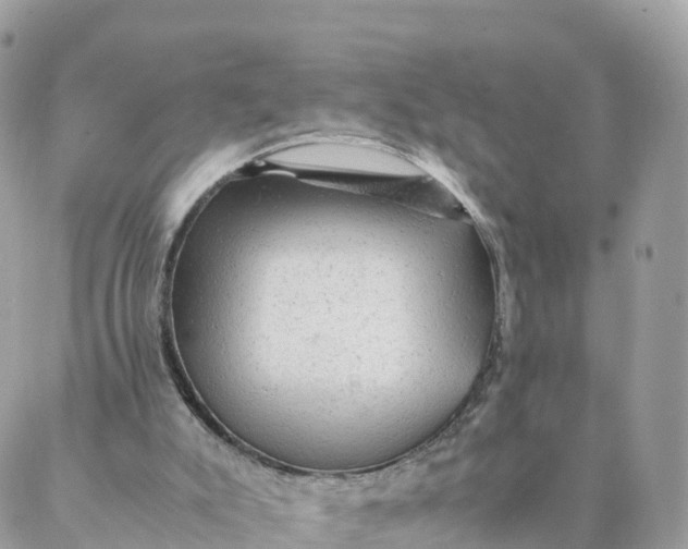 X0000087310007200705041701