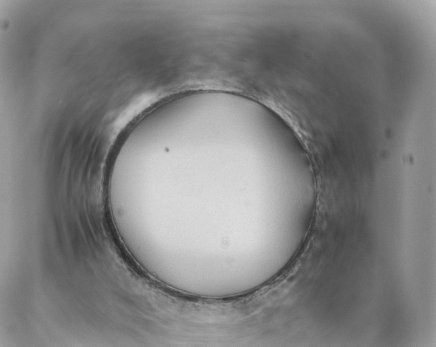 X0000087310008200705041701