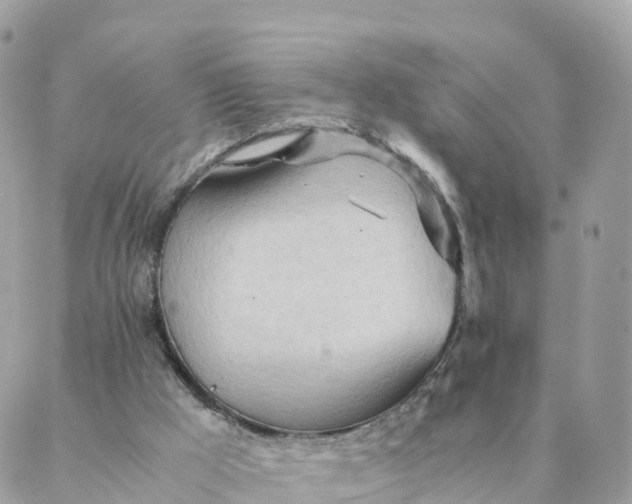 X0000087310009200705041701