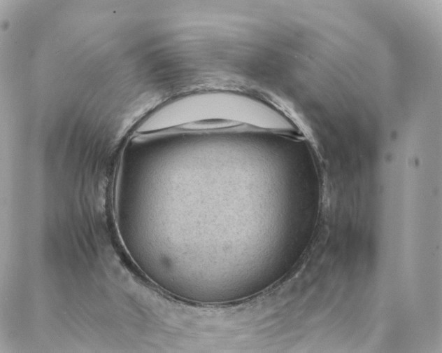 X0000087310010200705041701