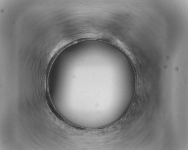 X0000087310011200705041701