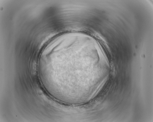 X0000087310012200705041701