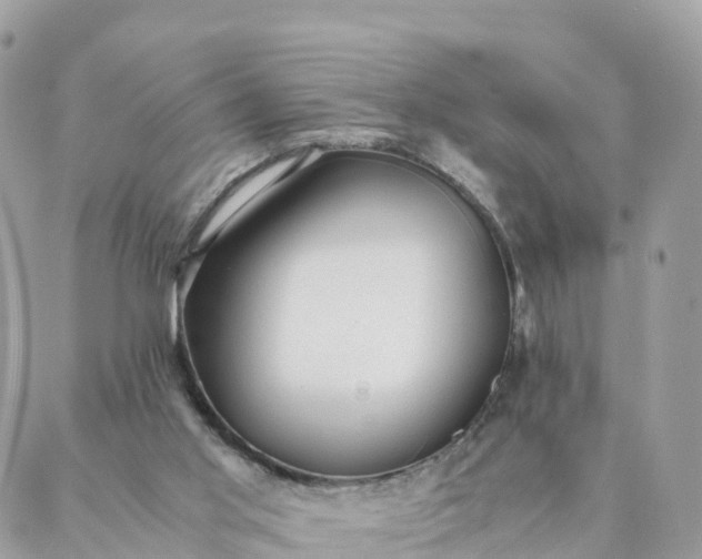 X0000087310013200705041701