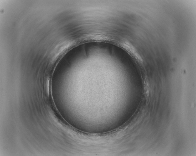 X0000087310014200705041701