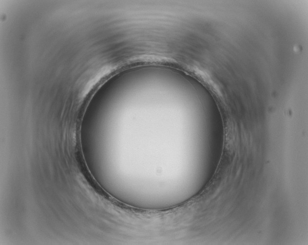 X0000087310015200705041701