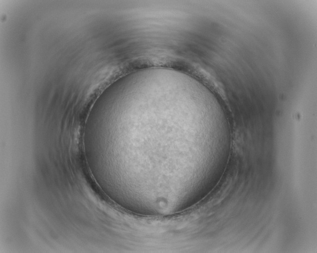 X0000087310018200705041701