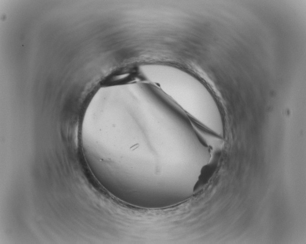 X0000087310019200705041701