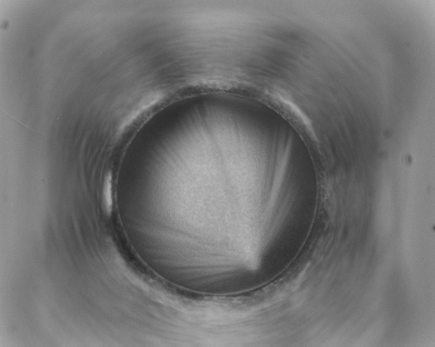 X0000087310020200705041701