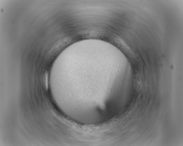 X0000087310022200705041701