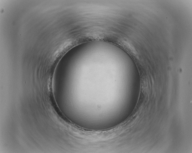 X0000087310023200705041701