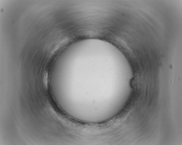 X0000087310024200705041701