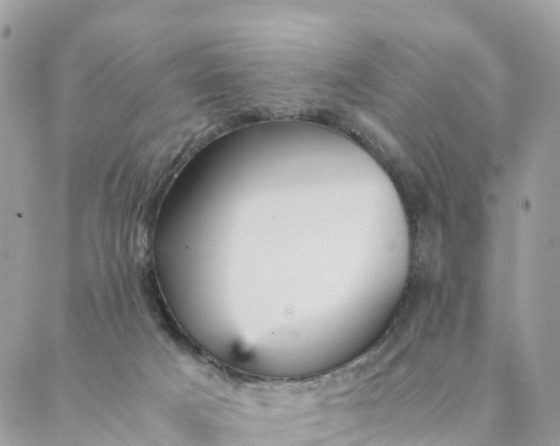 X0000087310025200705041701