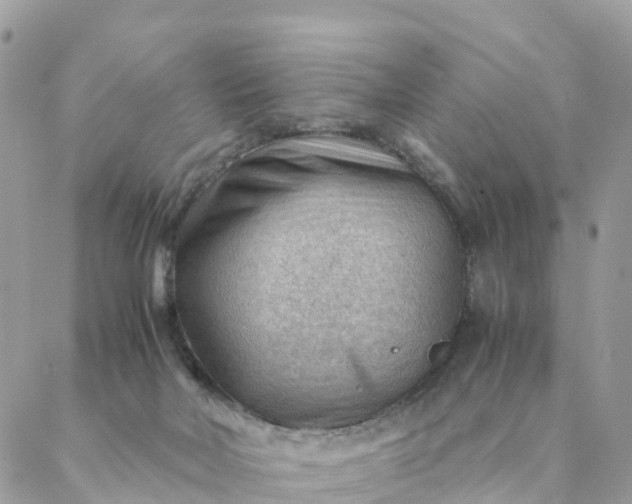 X0000087310026200705041701