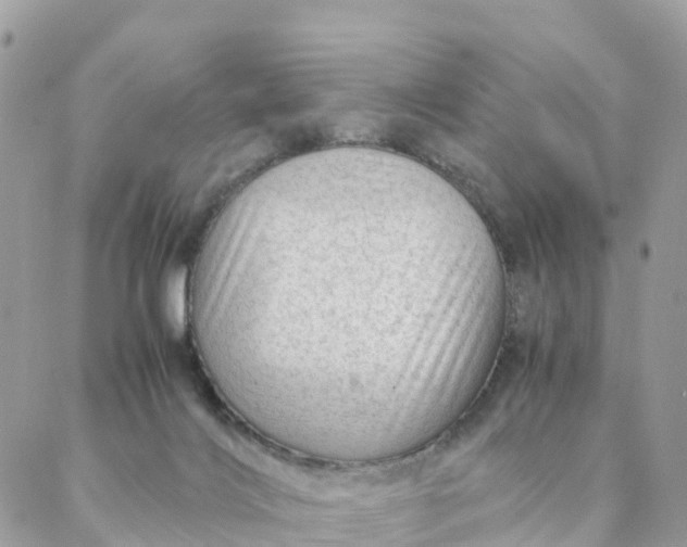 X0000087310028200705041700