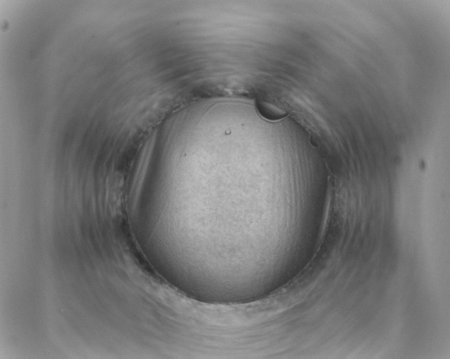 X0000087310030200705041700