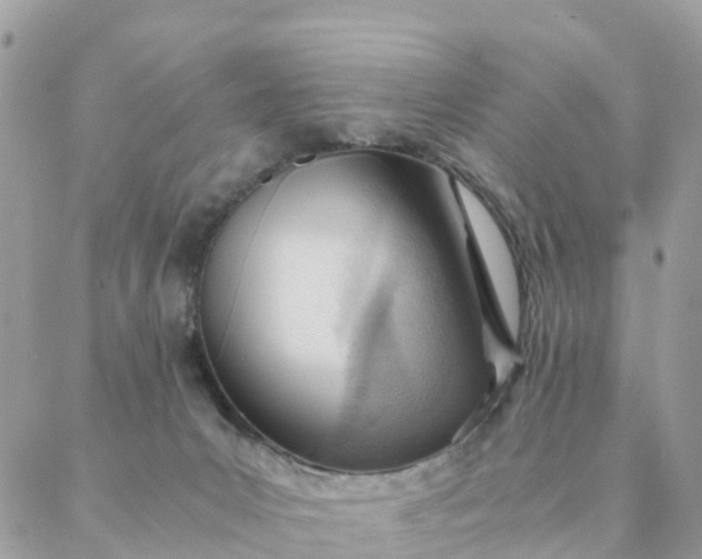 X0000087310031200705041700