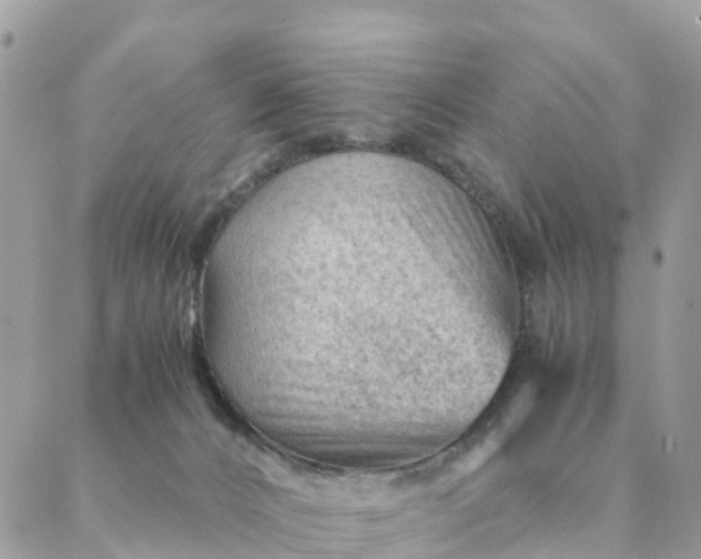 X0000087310032200705041700