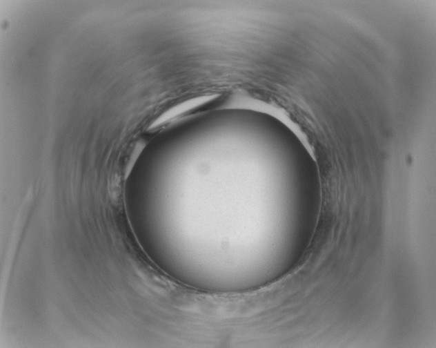 X0000087310033200705041700