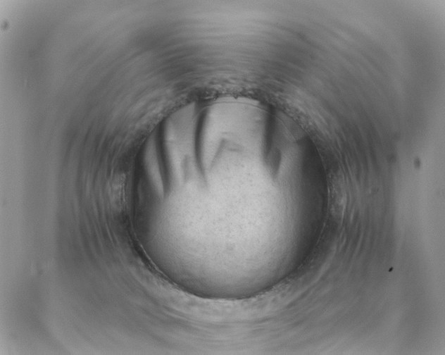 X0000087310034200705041700