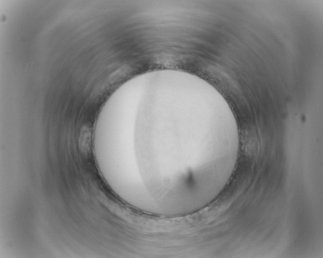 X0000087310036200705041700