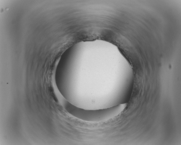 X0000087310037200705041700