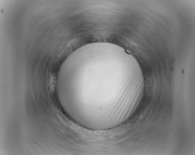 X0000087310038200705041700