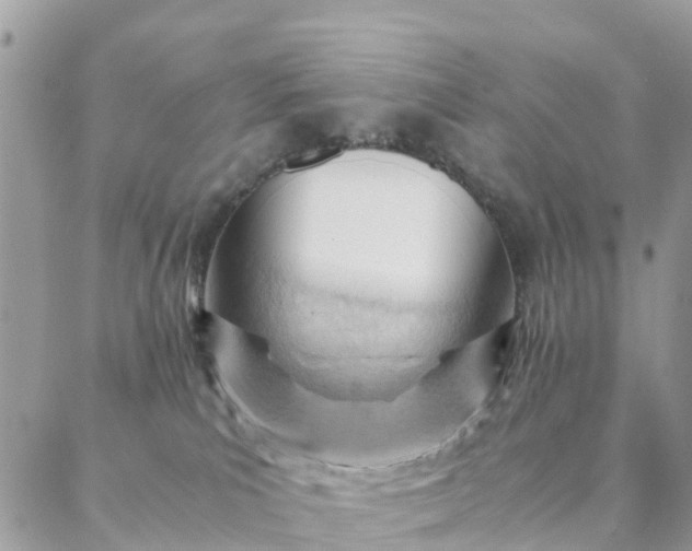 X0000087310039200705041700