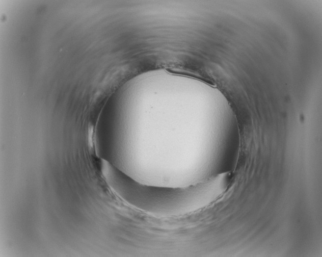 X0000087310041200705041700