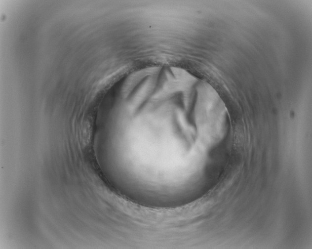 X0000087310043200705041700