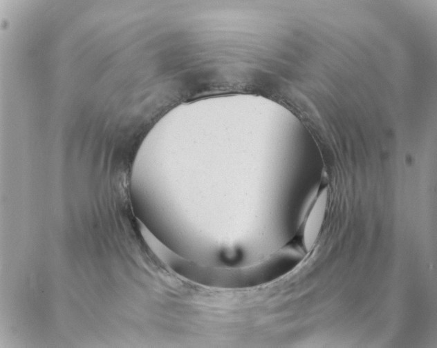 X0000087310045200705041700