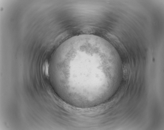 X0000087310046200705041700